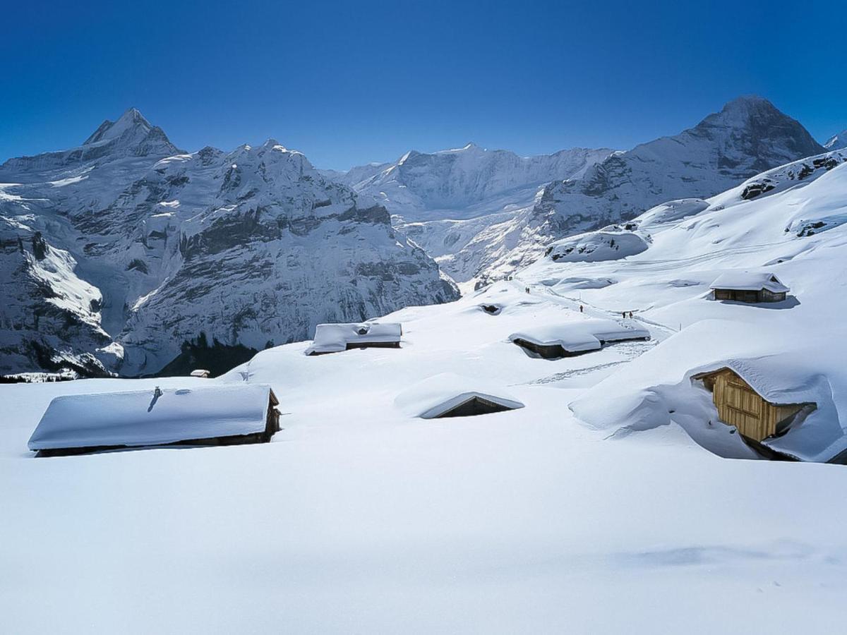Holiday Home Chalet Reinhysi By Interhome Grindelwald Exterior photo